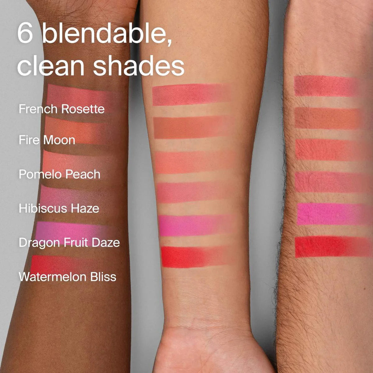 HAUS LABS Blush en polvo acabado natural